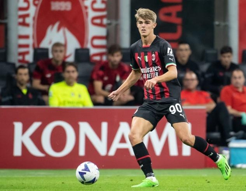 新的希望 新的希望